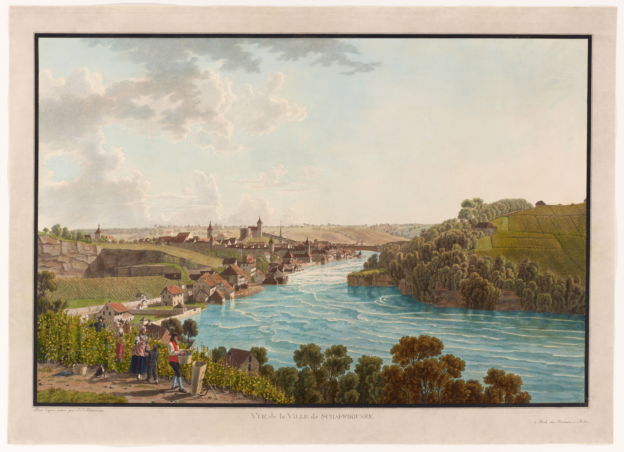 Vue de Schaffhouse et du Rhin depuis l’Ouest. Au premier plan une scène de vendanges