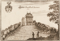 Vue du château et du vignoble de Châtelard.